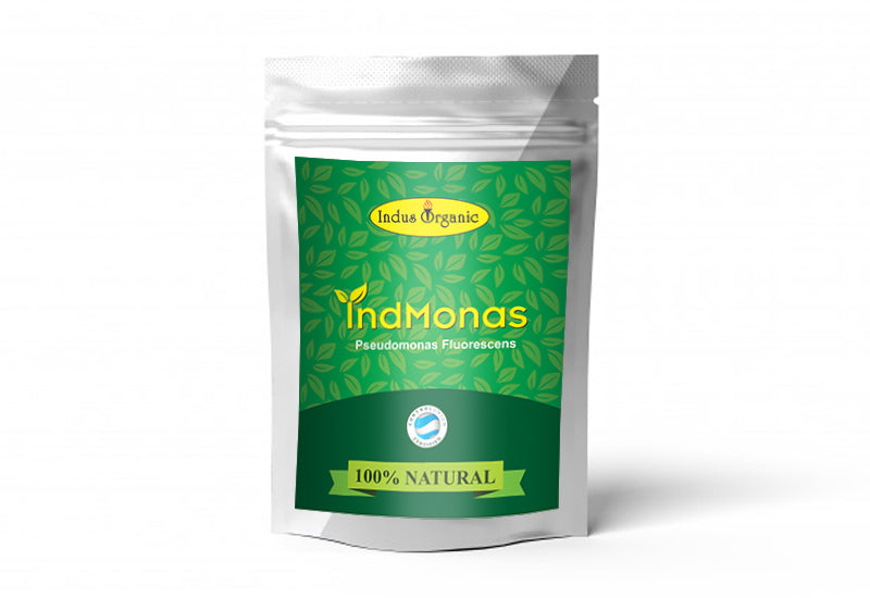 Indmonas Powder