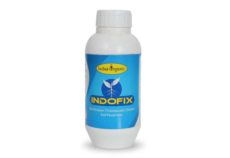 Indo Fix