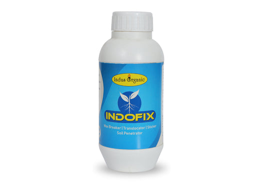 Indo Fix