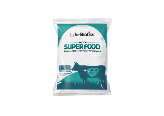 Indo Super Food Cattle