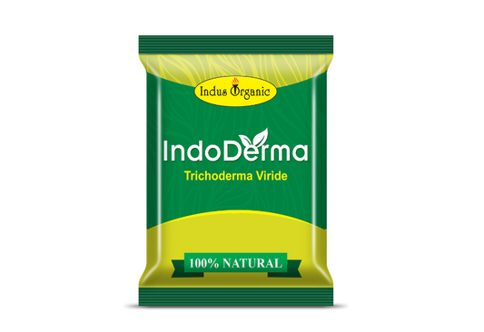 Indo Derma Powder
