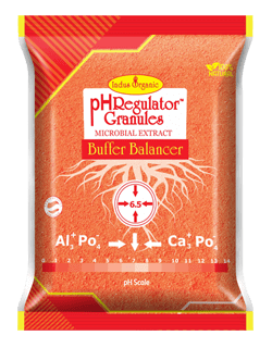 pH regulator Gr